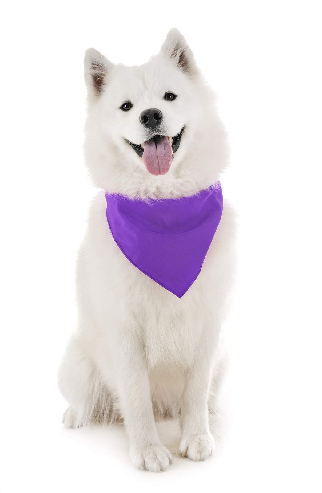 Mechaly Dog Plain Bandanas - 2 Pack - Scarf Triangle Bibs for Small, Medium and Large Puppies, Dogs and Cats