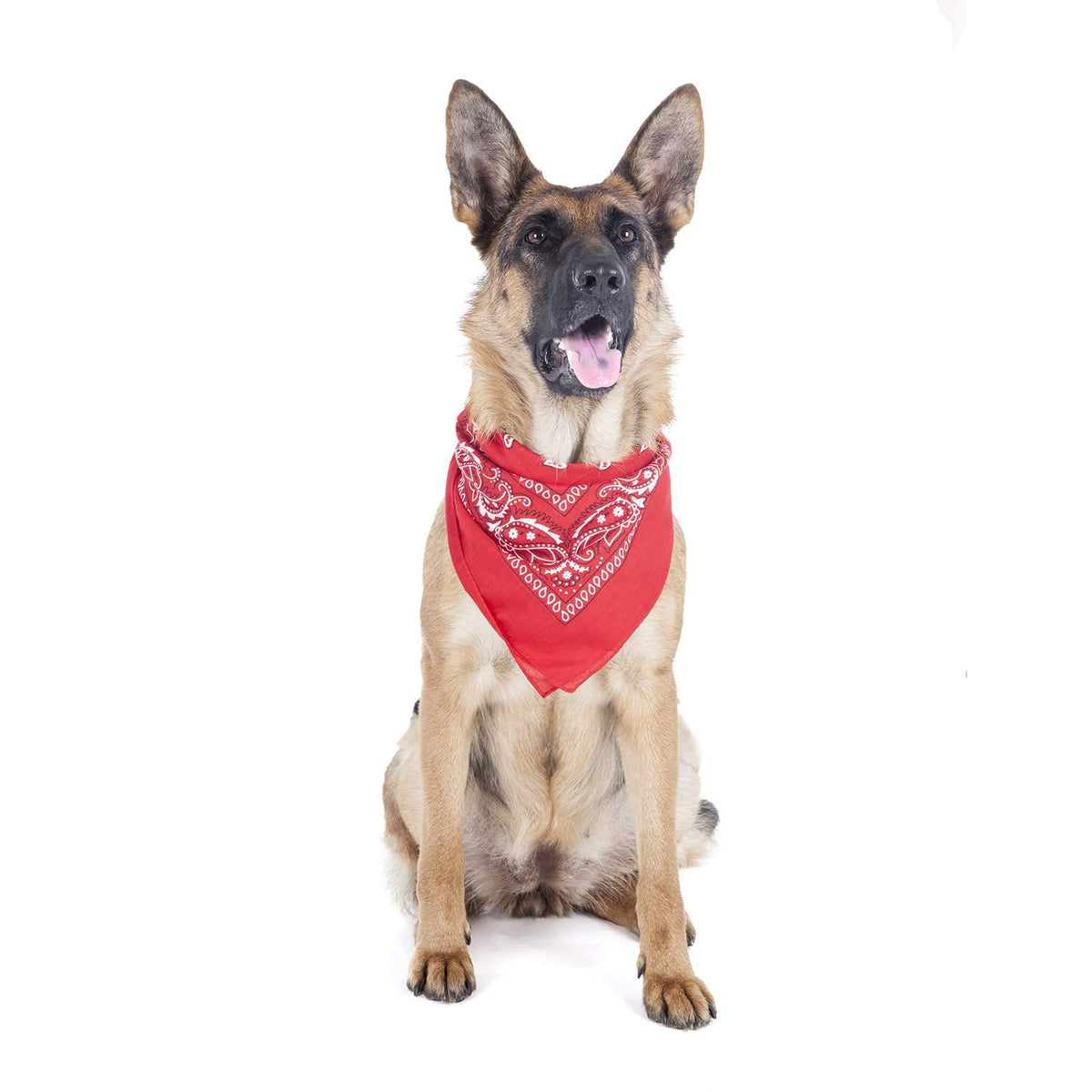 8 Pack Paisley Polyester Pets Dogs Bandana Triangle Shape  - Oversized