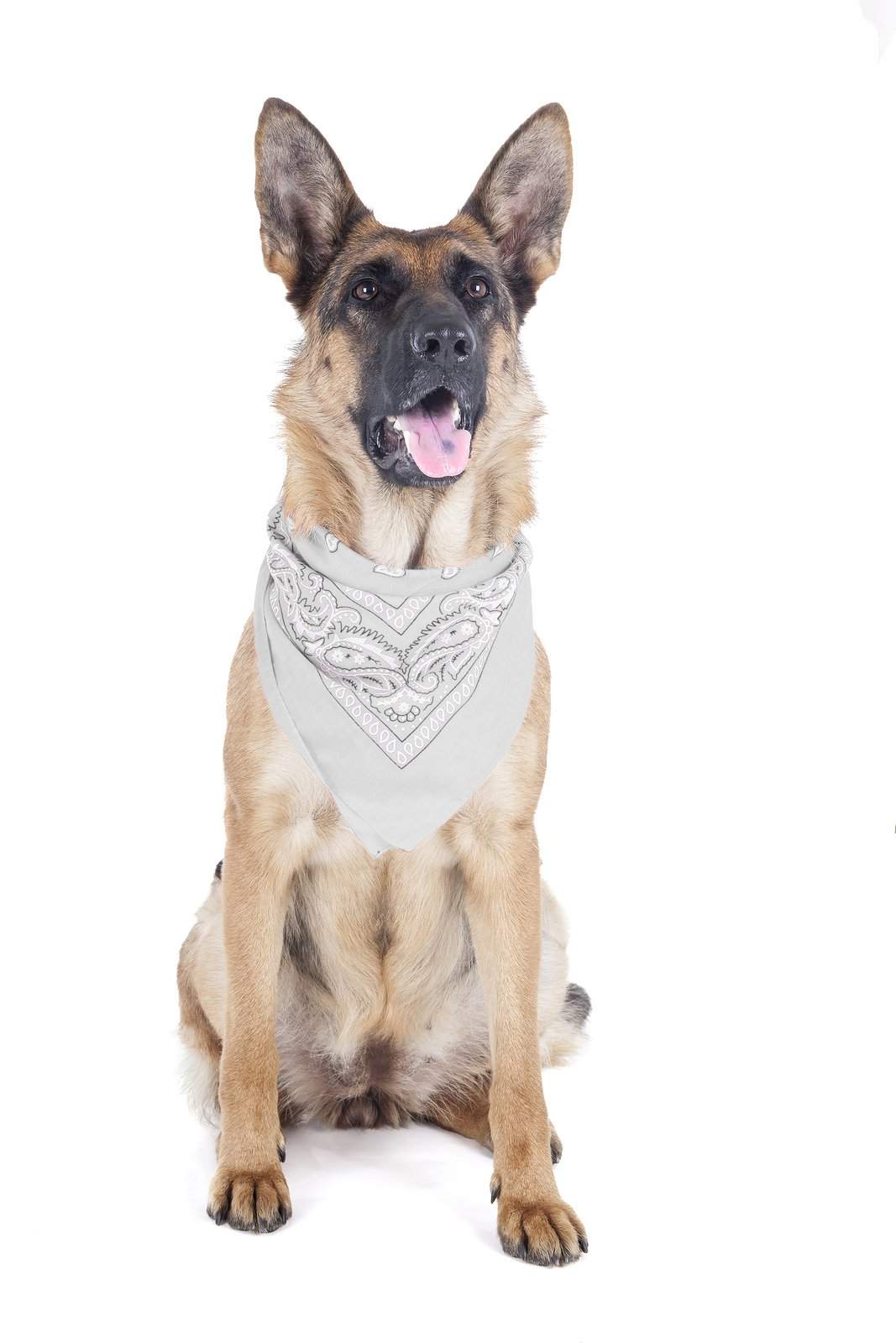 8 Pack Paisley Polyester Pets Dogs Bandana Triangle Shape  - Oversized