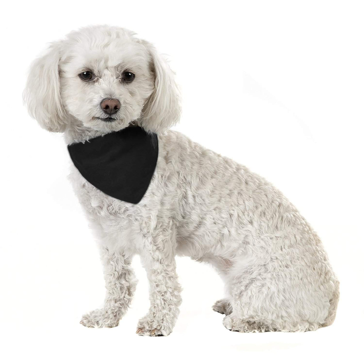 3 Pack Solid Cotton Dog Bandana Triangle Bibs  - Small & Medium Pets